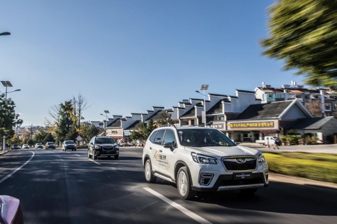 试驾斯巴鲁森林人2.0,试驾斯巴鲁新森林人
