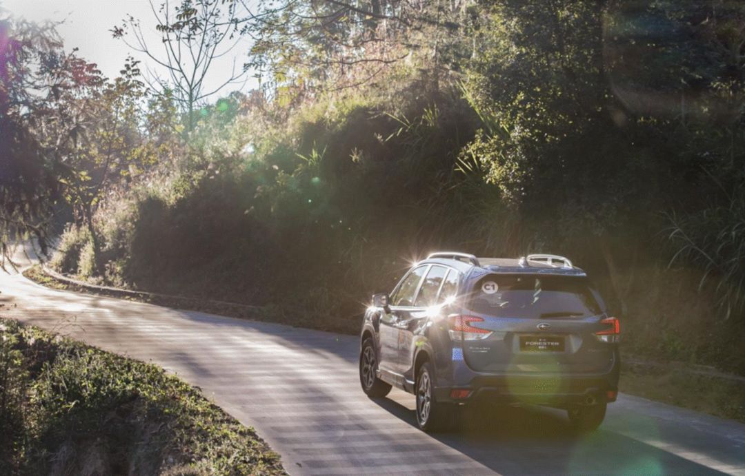 试驾斯巴鲁森林人2.0,试驾斯巴鲁新森林人