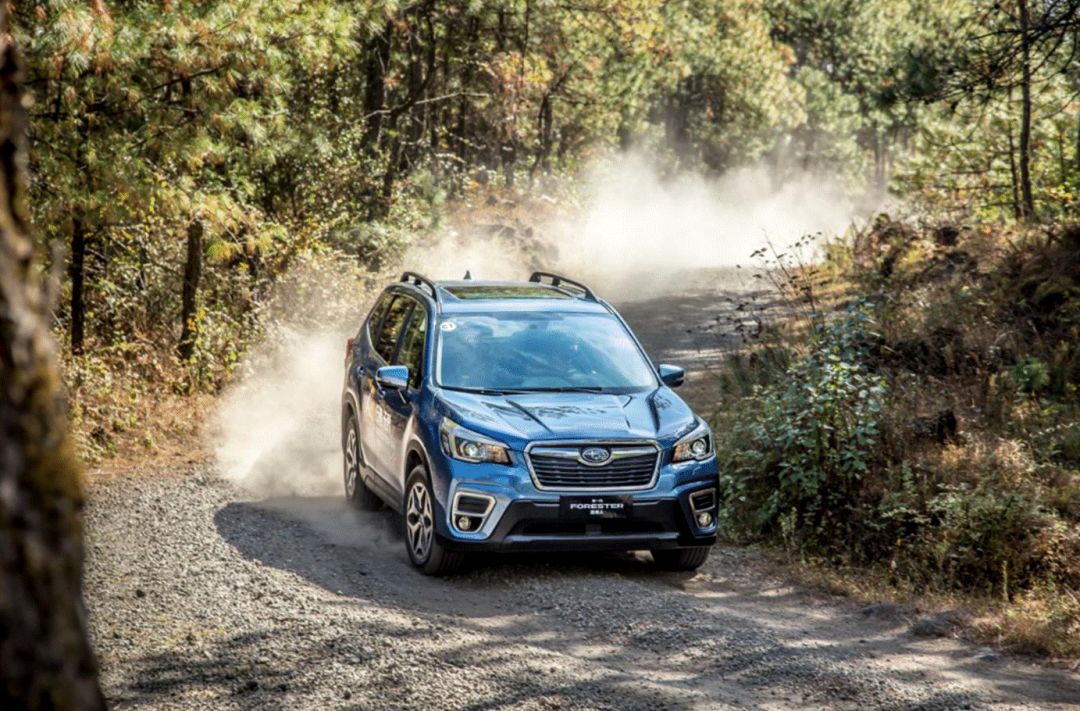 试驾斯巴鲁森林人2.0,试驾斯巴鲁新森林人