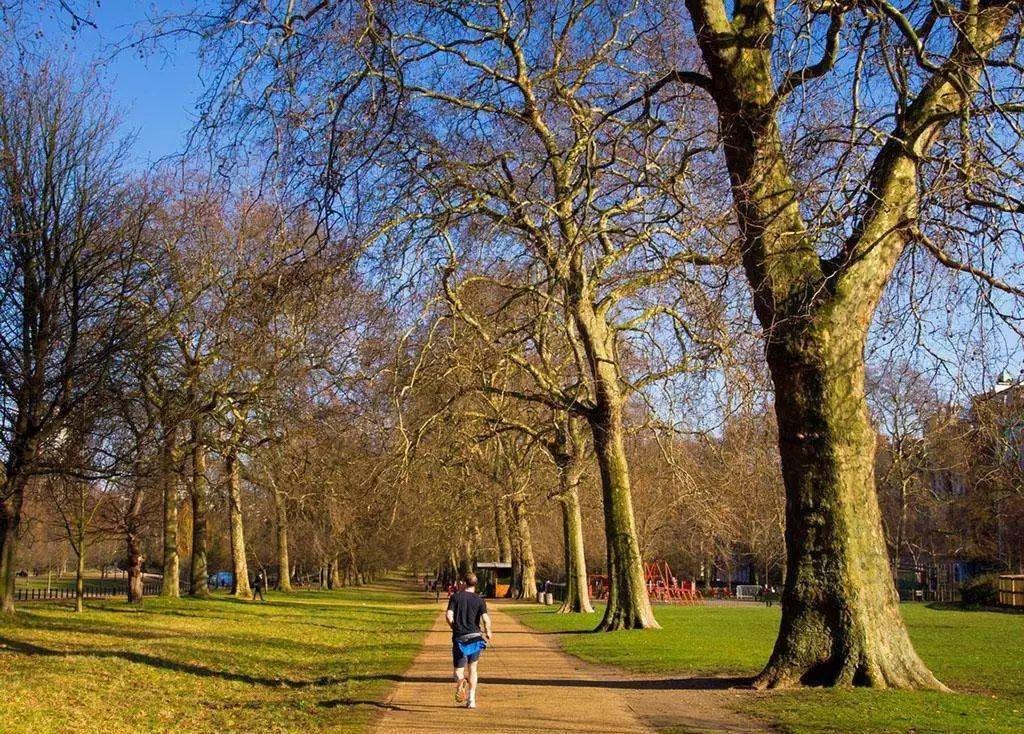 大学生在学校被同学撞伤谁负责,学校操场被撞伤了是谁的责任