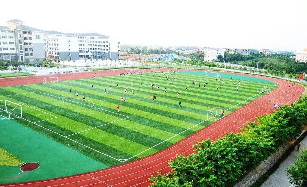 大学生在学校被同学撞伤谁负责,学校操场被撞伤了是谁的责任