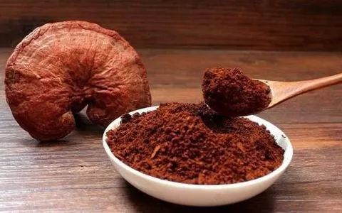 灵芝怎么做好吃又简单方便,灵芝的正确吃法大全