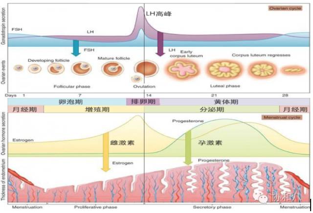 亲戚不来回礼怎么办,亲戚不来怎么办