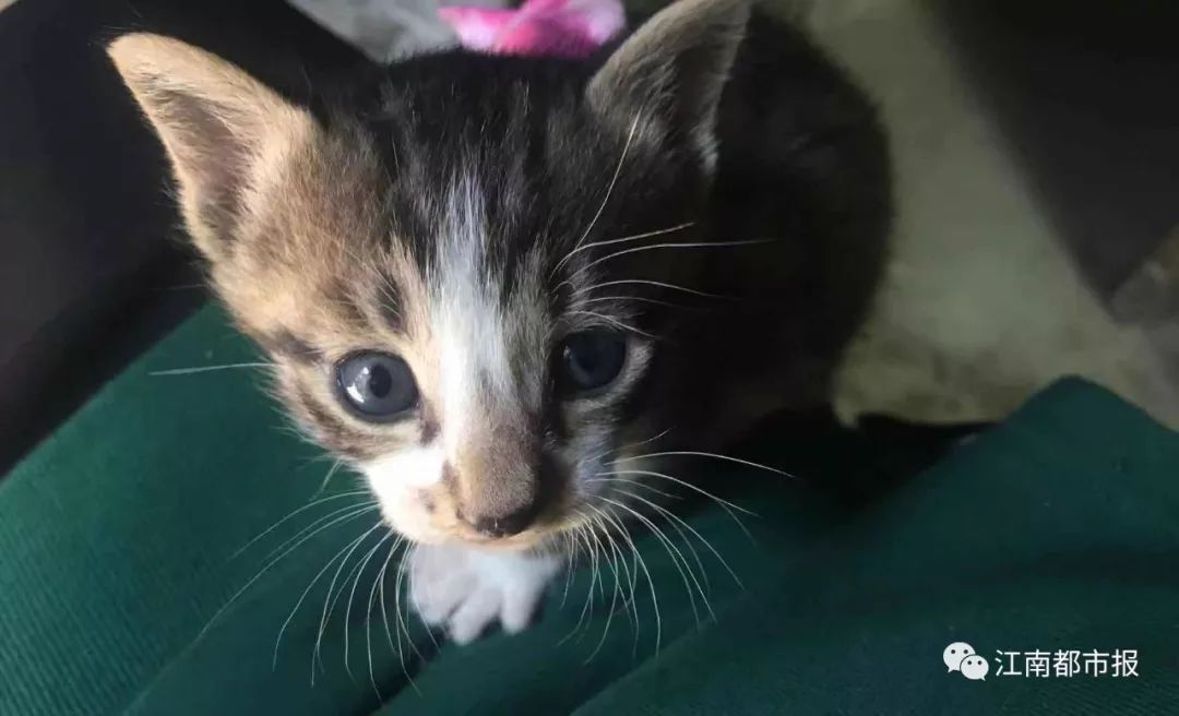 90后女子发烧,女性腋下肿大发烧怎么回事