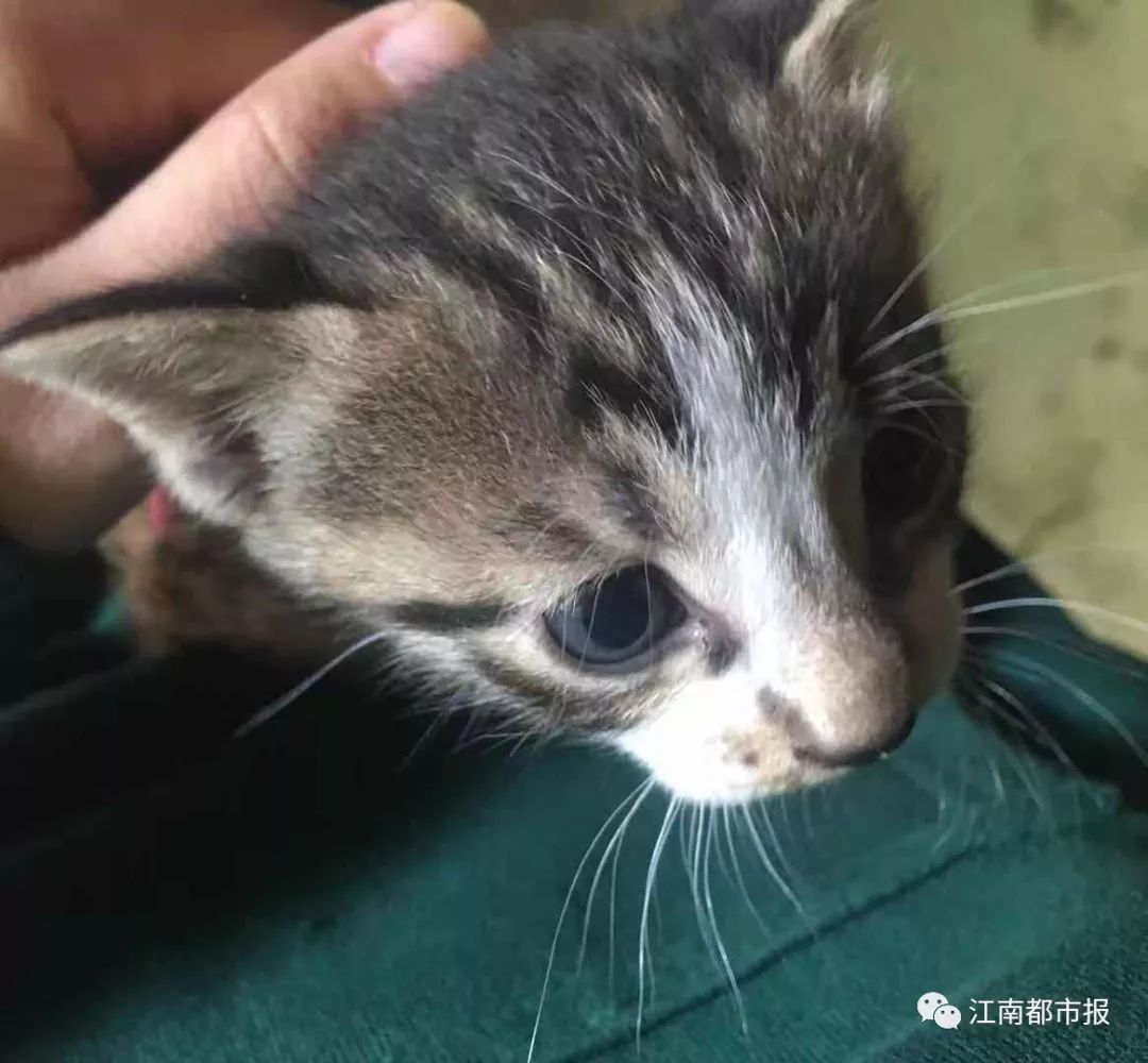 90后女子发烧,女性腋下肿大发烧怎么回事