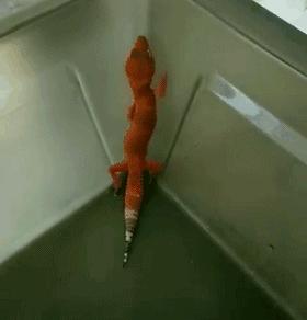 我发现了钢铁直男出轨的细节，结果...太优秀了哈哈哈哈哈哈哈哈哈哈