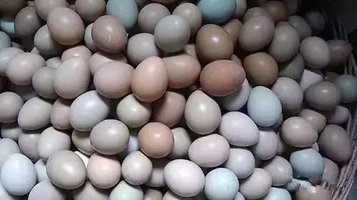 一个鸡蛋就能甩掉老花眼？人人都吃，却不知道这样吃更灵！