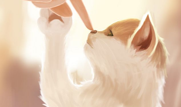 腋下肿大伴有疼痛感发烧,腋下突然疼痛伴随高烧