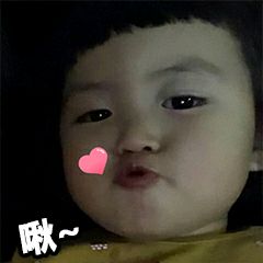 年度爱用品分享,2019年爱用物分享