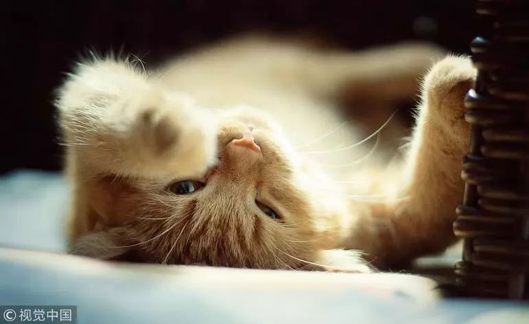 90后姑娘突发40℃高烧，腋下莫名疼痛肿大！罪魁祸首就在身边，朋友圈里很常见……