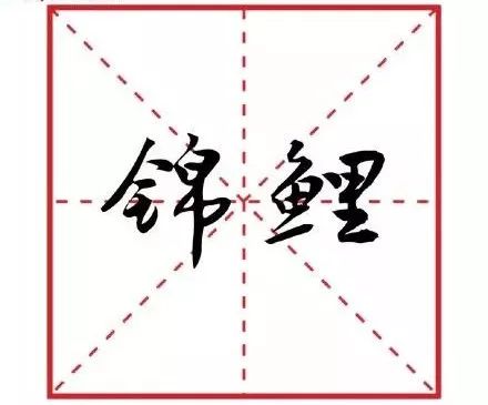 2018十大网络流行语,2019十大流行语公布哪个你最常用