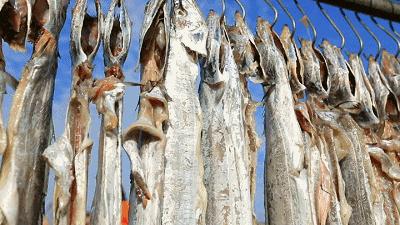 还在等什么!中国·普陀“舟山带鱼”宴寻找“锦带”!超多大奖独宠你一人!