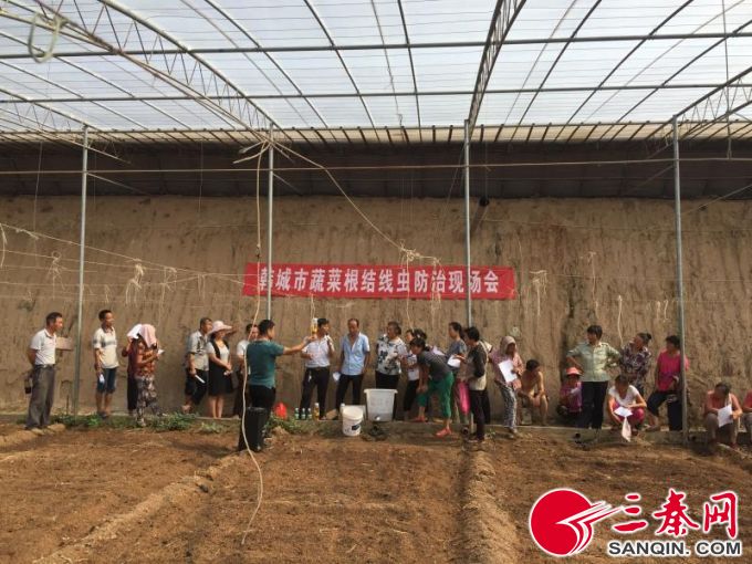 学习寿光先进技术减少大棚病原发生——日光温室高温闷棚技术