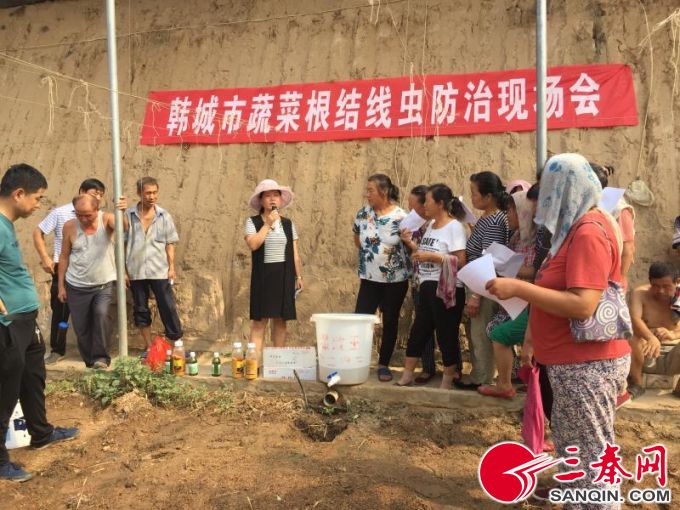 学习寿光先进技术减少大棚病原发生——日光温室高温闷棚技术