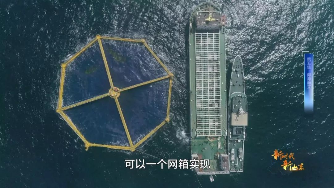 新时代新山东第八集,新时代新山东纪录片