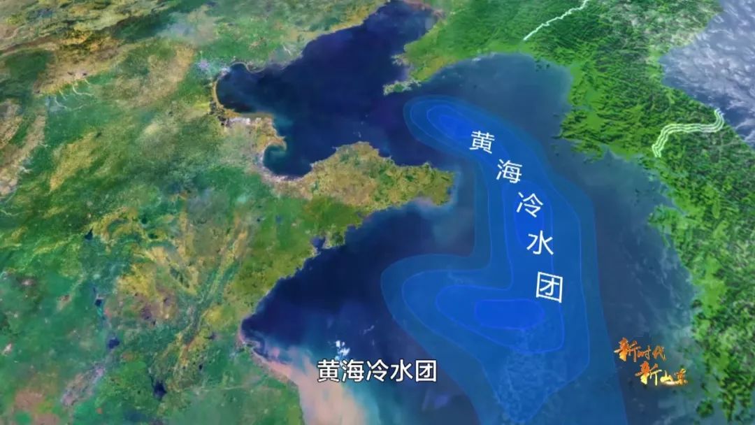 新时代新山东第八集,新时代新山东纪录片