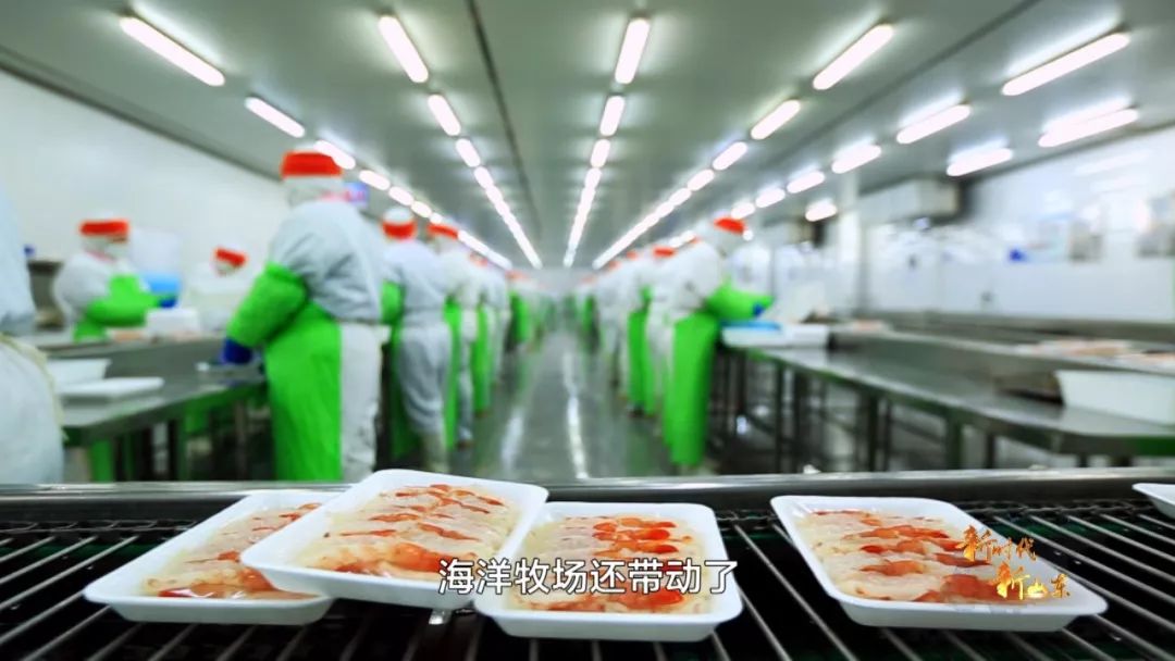 新时代新山东第八集,新时代新山东纪录片