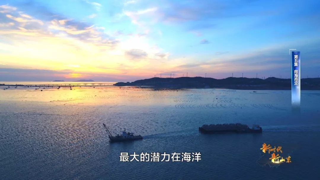 新时代新山东第八集,新时代新山东纪录片