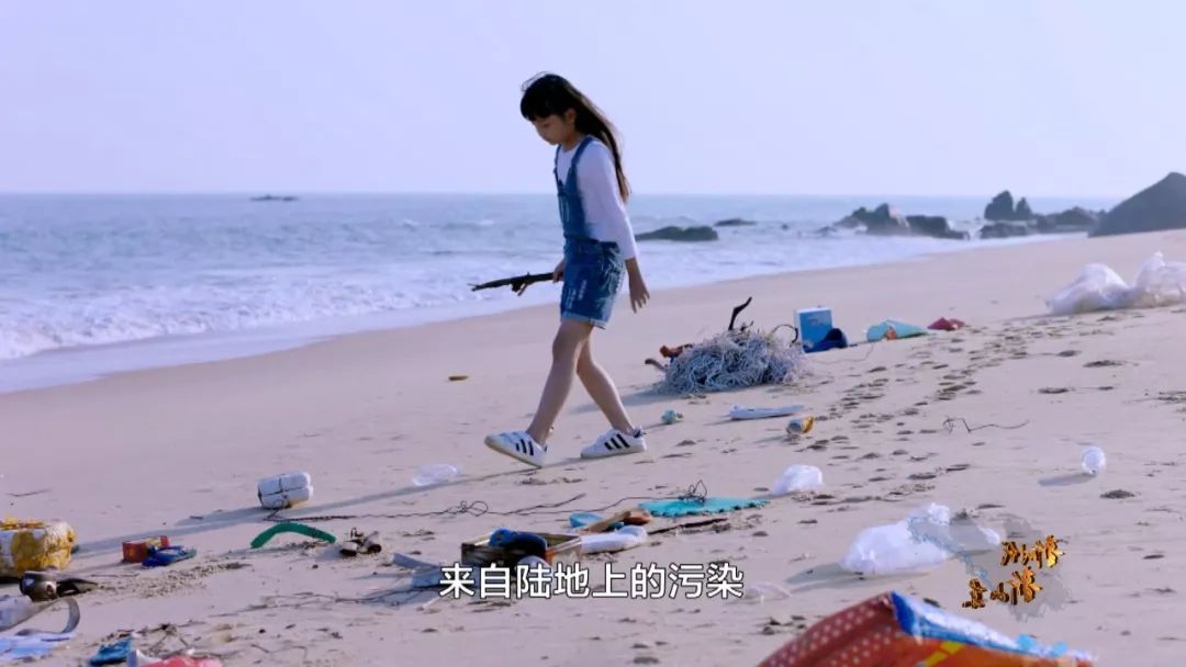 新时代新山东第八集,新时代新山东纪录片