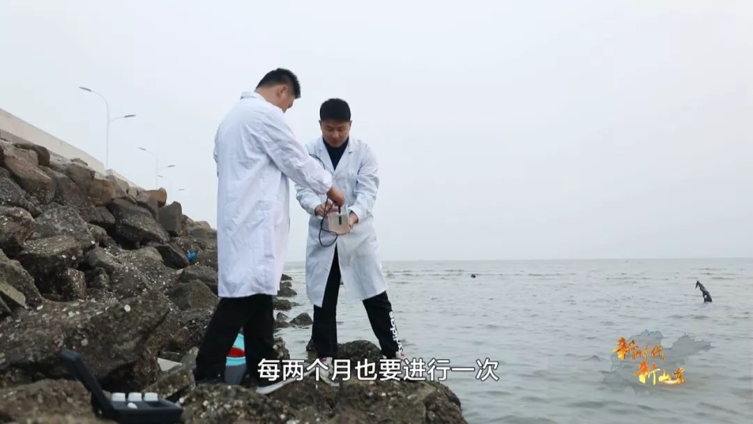 新时代新山东第八集,新时代新山东纪录片