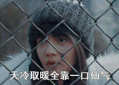 手脚总冰冷……试试TA，可以驻颜、润肌