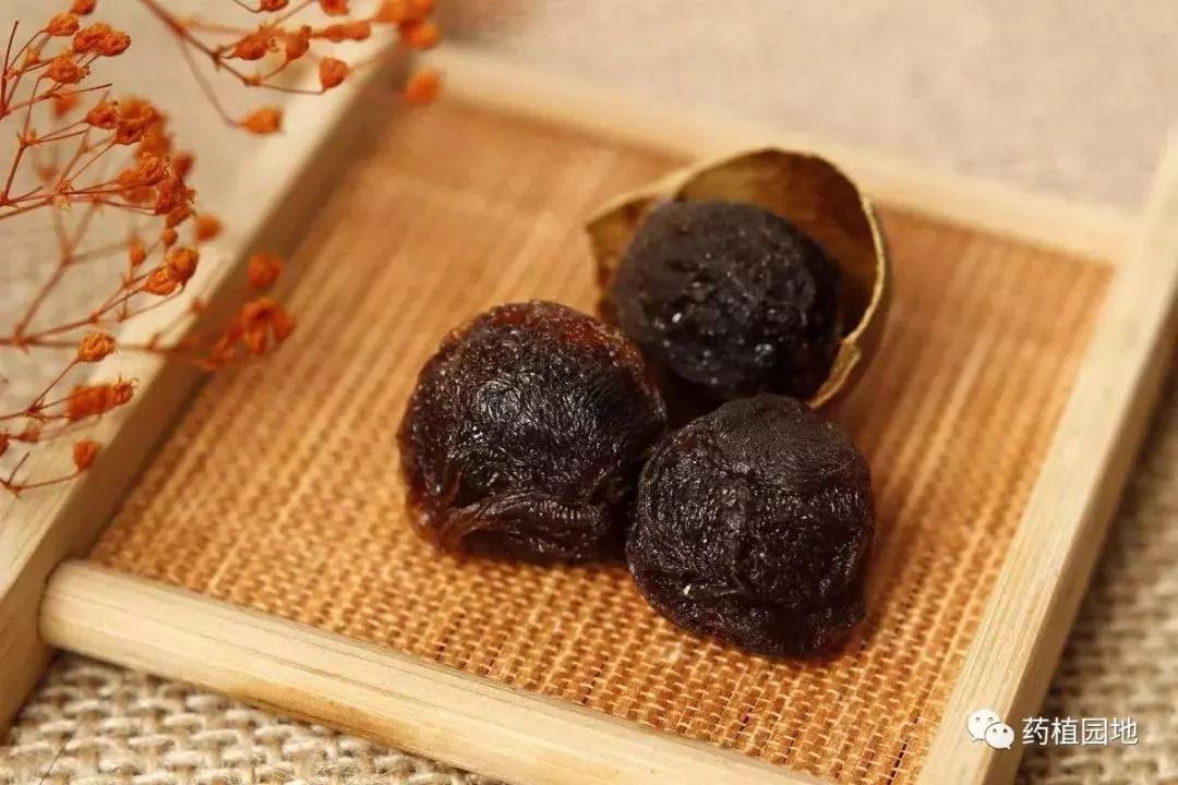 手脚总冰冷……试试TA，可以驻颜、润肌