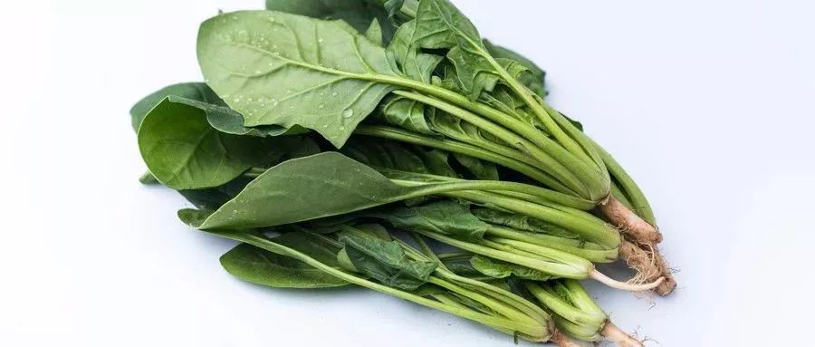 癌症患者是否能吃白木耳,患肿瘤能吃黑米燕麦小米吗