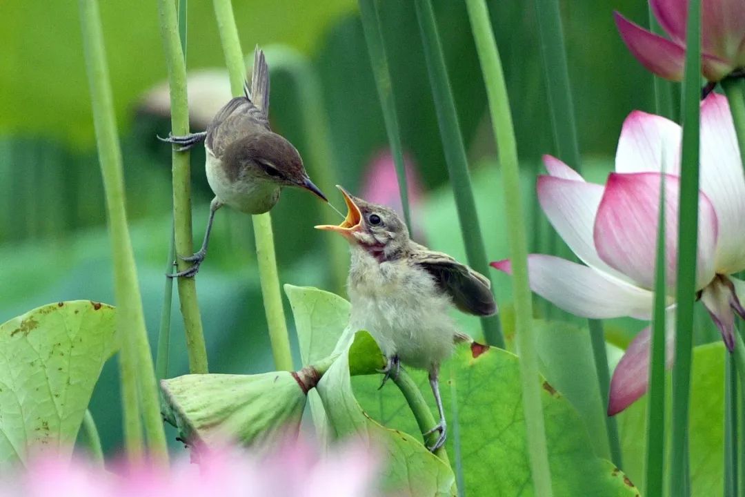 西安航天基地2021年工作重点,西安航天基地创新发展