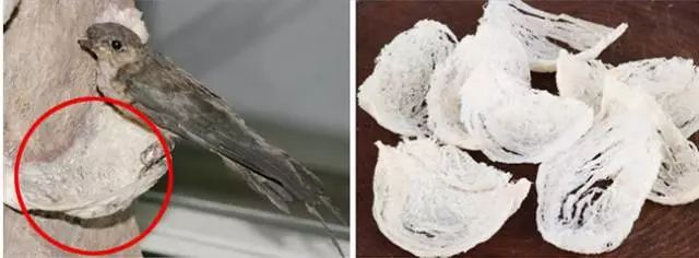 燕窝玻尿酸童颜面膜,玻尿酸燕窝面膜