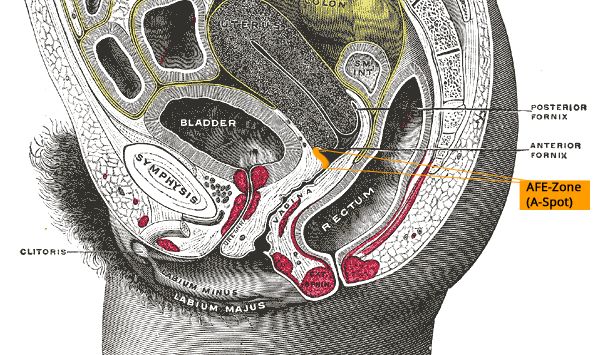 大力不一定会出奇迹，但可能会大出血