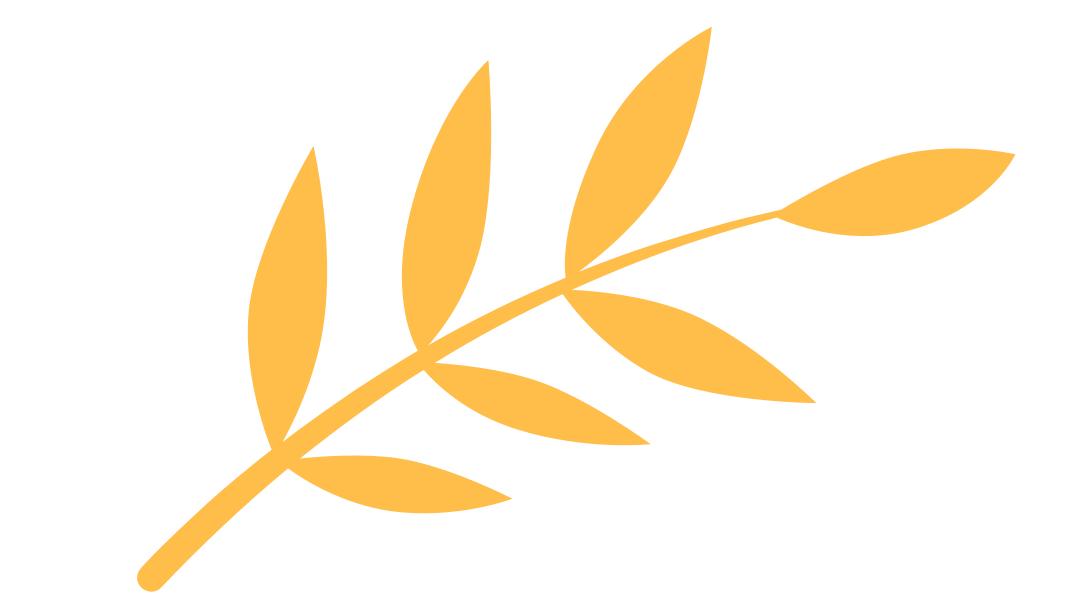 白露节气一场秋雨一场凉,有关24节气白露的知识