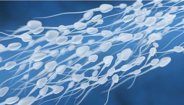 让精子“打结”的下一代避孕药物,能取代激素吗?