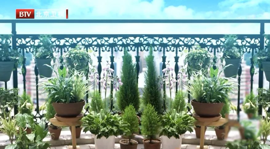 霉菌真的那么可怕吗,霉菌是一级致癌物检测报告