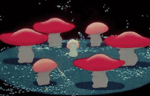 霉菌真的那么可怕吗,霉菌是一级致癌物检测报告