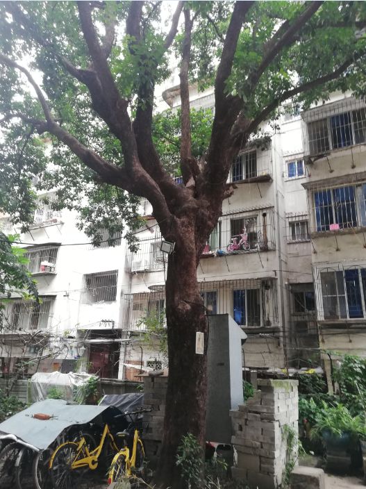 福州防疫,福州疫情福州话