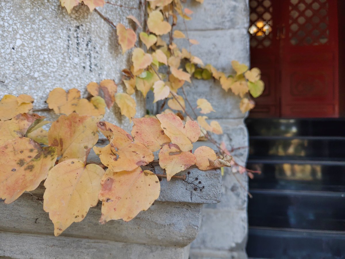 坚果r1smartisanos8.0,锤子手机坚果r1后摄像头