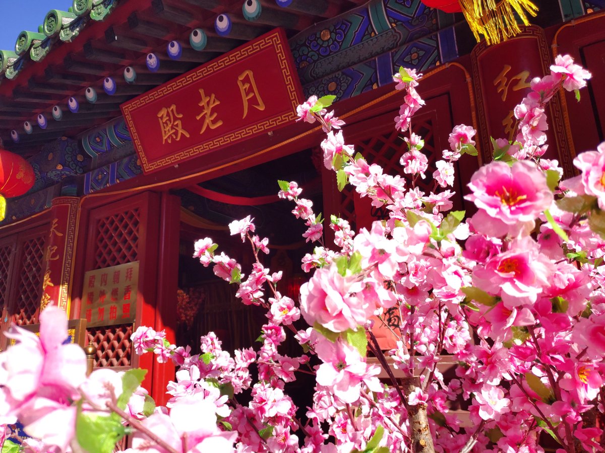 坚果r1smartisanos8.0,锤子手机坚果r1后摄像头