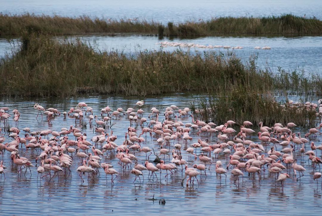 开普敦第七大奇迹,开普敦真实的样子