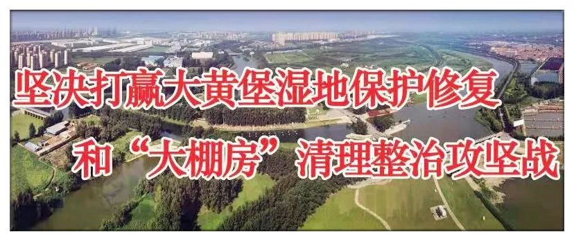 代购有没有新规,代购新规以后还有发展空间吗