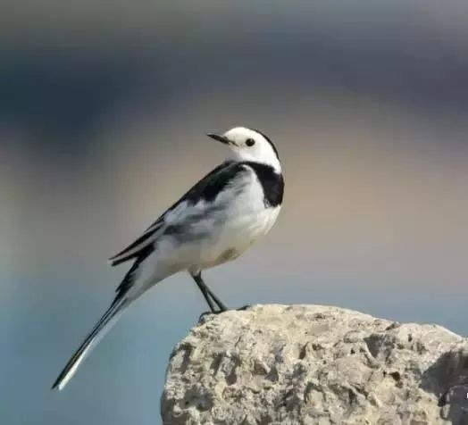 著名书法作品背后的故事,那些历史沉淀下来的书法经典