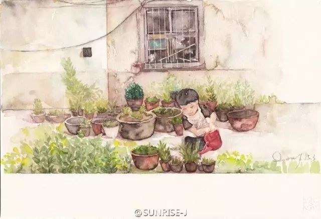 诗一样的多肉插画，像从宫崎骏的动漫世界里走出来一样~