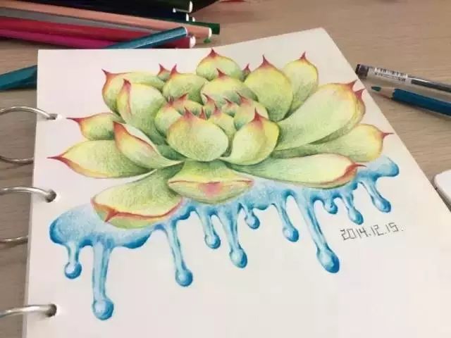 诗一样的多肉插画，像从宫崎骏的动漫世界里走出来一样~