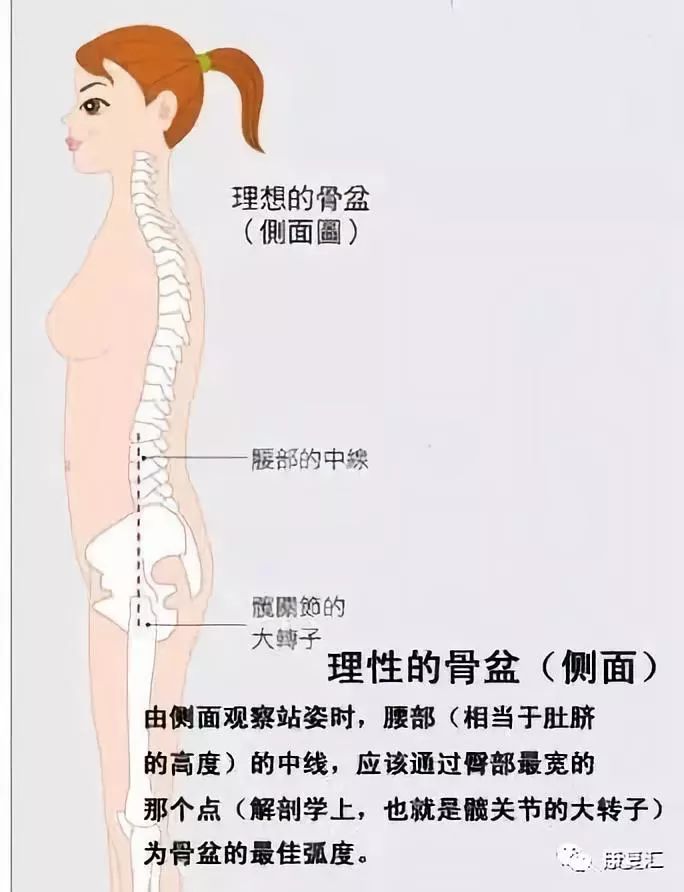 骨盆倾斜能做骨盆修复吗,体态康复骨盆前移