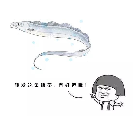 还在等什么!中国·普陀“舟山带鱼”宴寻找“锦带”!超多大奖独宠你一人!