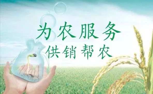 供销社帮农助农,供销社助农专题采访