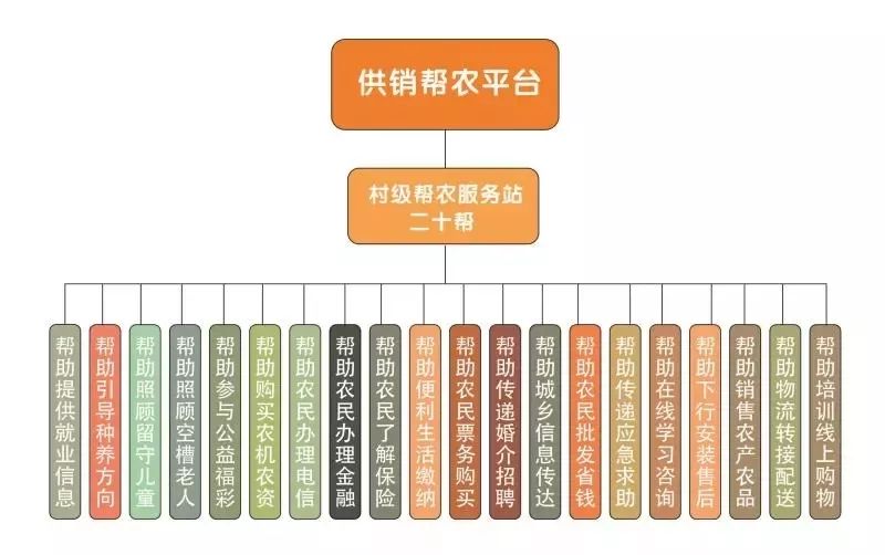 供销社帮农助农,供销社助农专题采访