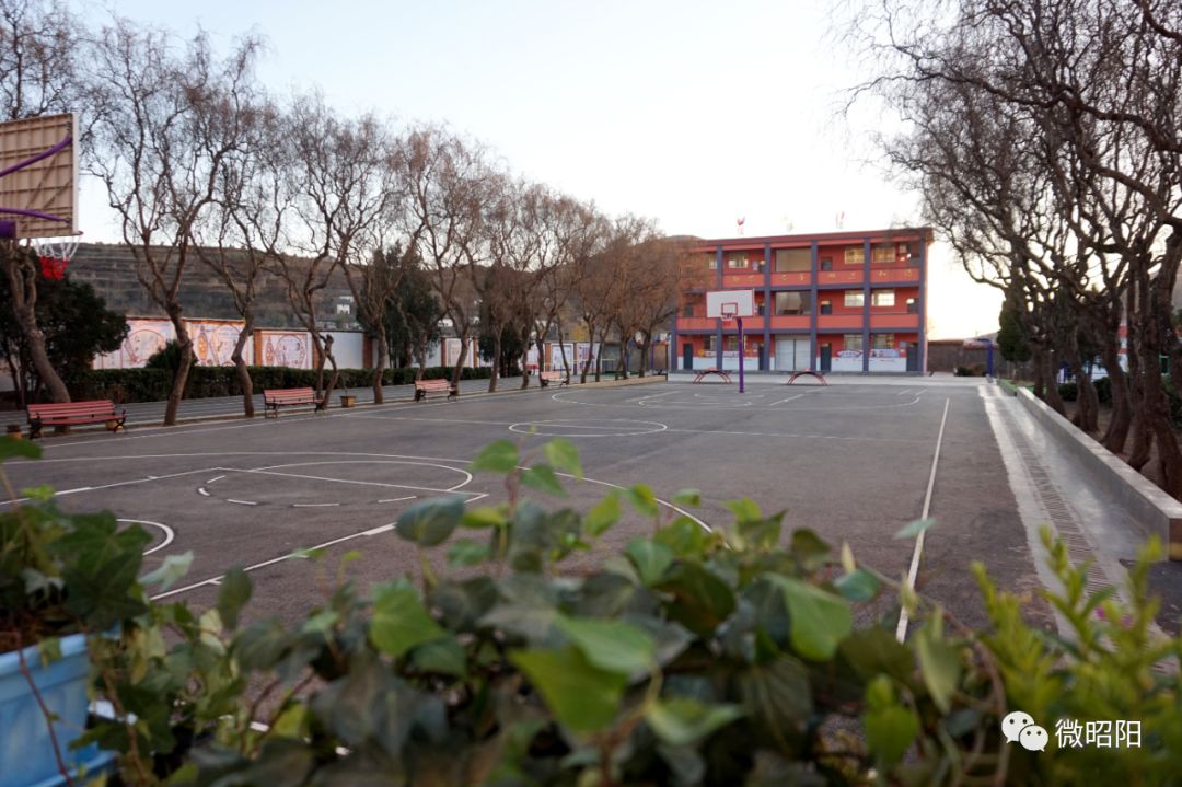 昭阳40年|夏文炳:筑腾飞基石结教育硕果