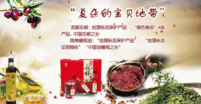 看知否感受宋朝的雅致,知否知否明兰去看林氏