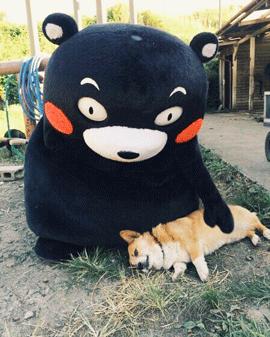 国货美白好物推荐,想美白用水乳还是精华