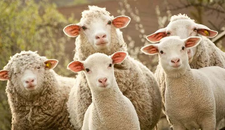 星巴克会员打折吗,星巴克新会员29元